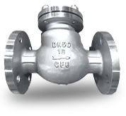 foot valve 10 inch