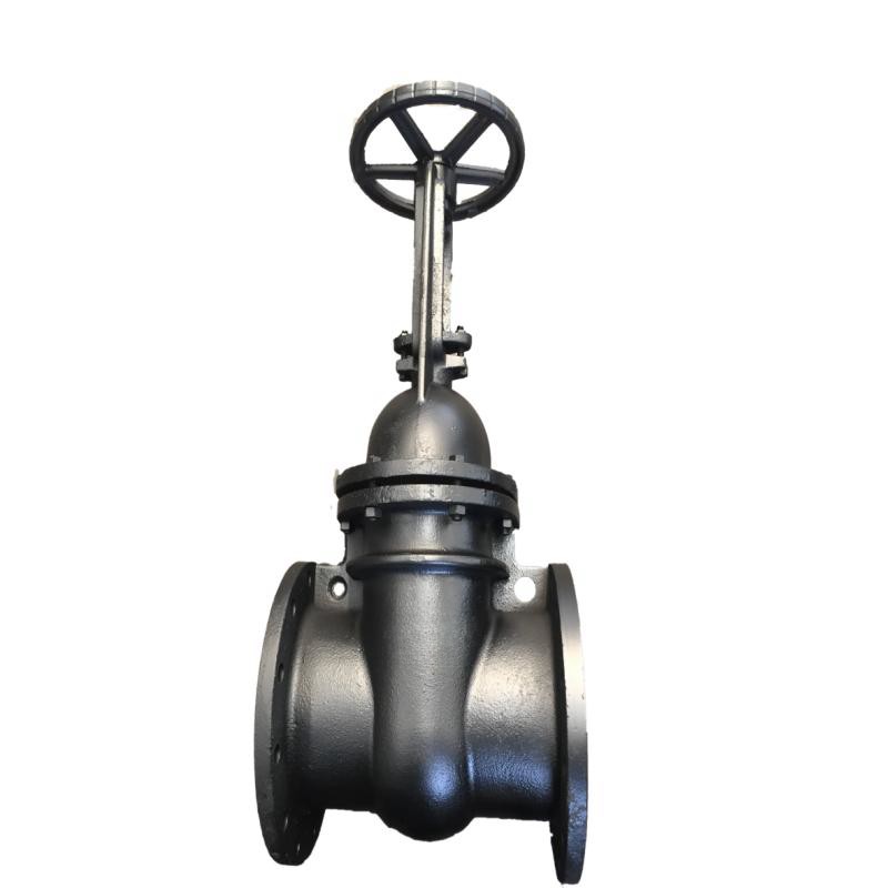 Gost Cast Iron Gate Valve Z44T-10/Z41T-16