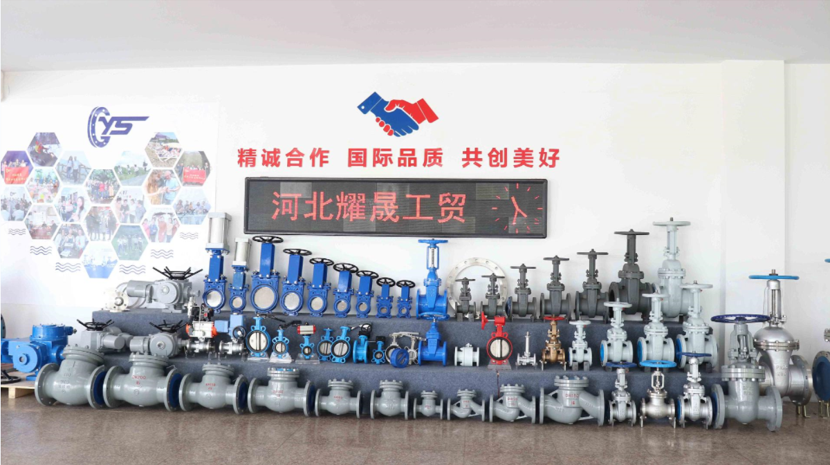 china low pressure check valve