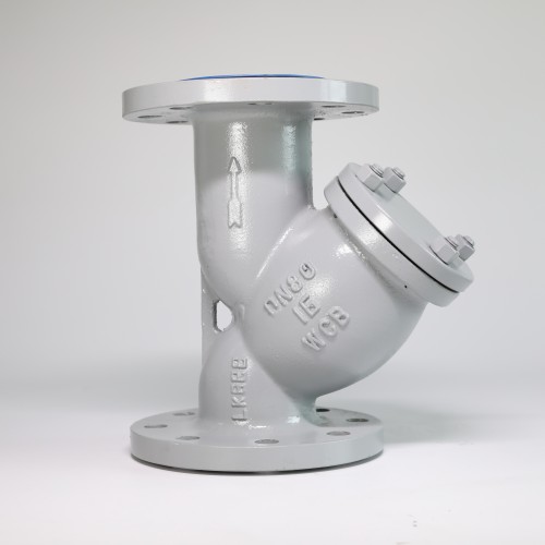 GL41H-16/16Q WCB material Flange Y Type Strainer