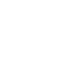 ion4(1).png