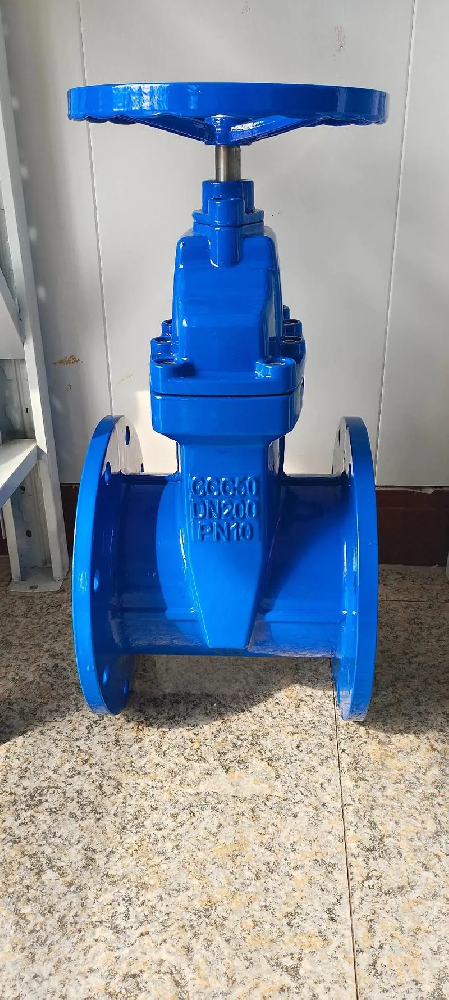 Water Valve Gate Design Prevents Leakage and Corrosion